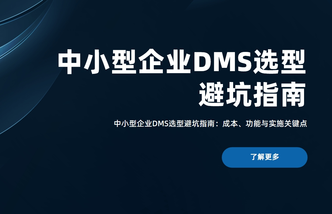 中小型企業DMS選型避坑指南：成本、功能與實施關鍵點